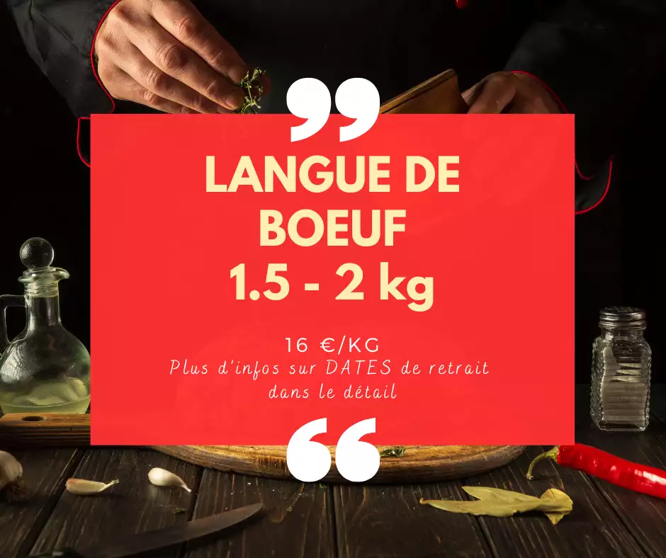 Langue de Bœuf - 1.5 à 2kg